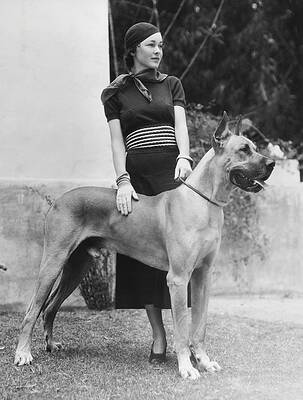 Wall Art - Photograph - Maureen O'sullivan . #1 by Album
