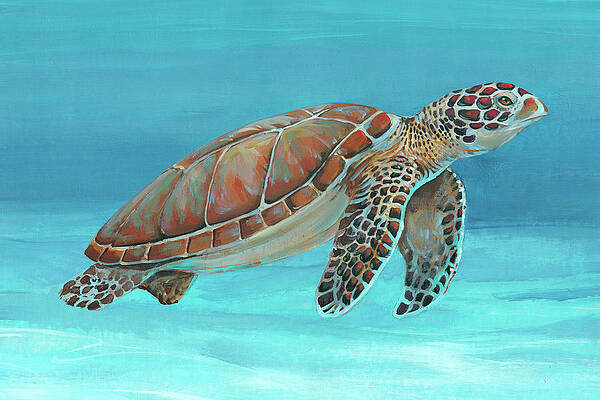 Sea Turtle Paintings (Page #2 of 35) - Fine Art America