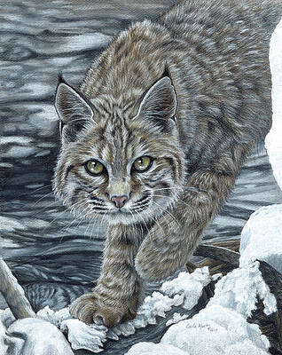 Wall Art - Painting - On The Prowl #1 by Carla Kurt