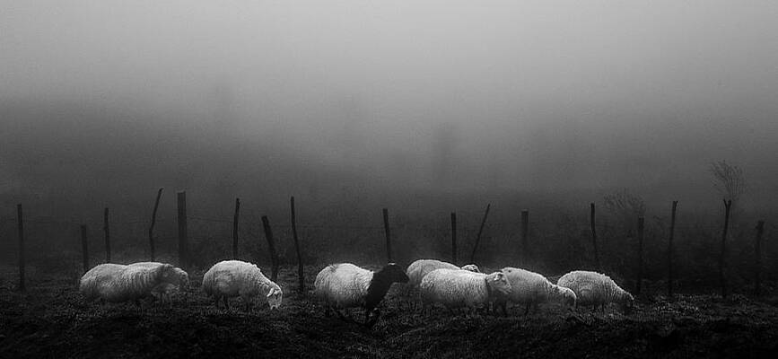 Wall Art - Photograph - On The Way Home #1 by Abbas Arabzadeh