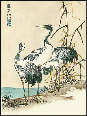 Wall Art - Painting - Oriental Crane II #1 by Vision Studio