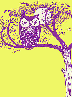 Wall Art - Drawing - Owl in Tree by CSA Images