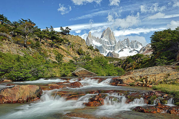 Wall Art - Photograph - Patagonia River View #1 by Max Seigal