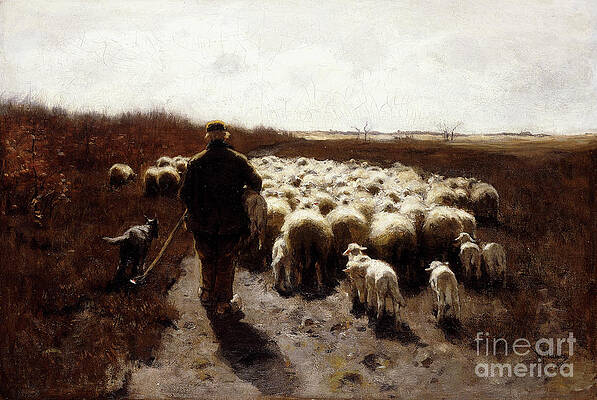 Wall Art - Painting - Return Of The Flock by Anton Mauve