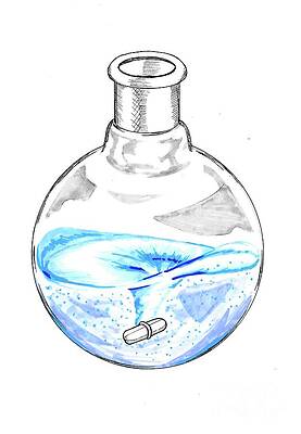 Wall Art - Photograph - Round Bottom Flask With Stir Bar #1 by Science Photo Library