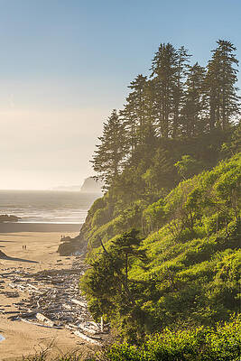 Wall Art - Photograph - Ruby Beach In Olympic National Park #1 by Sean Pavone