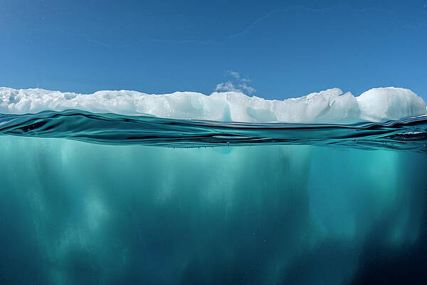 Wall Art - Photograph - Split Level View Of An Iceberg #1 by Shane Gross / Naturepl.com