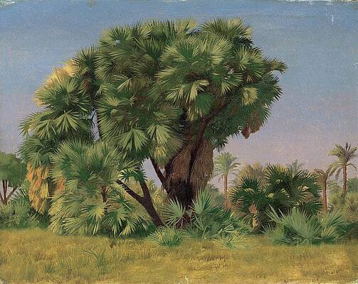 Wall Art - Painting - Study Of Palm Trees by Jean-Leon Gerome
