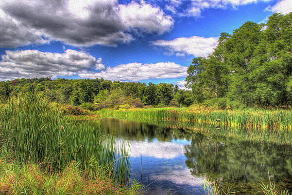 Summer on Tanglewood Pond by Laurie Cybulak Summer on Tanglewood Pond by Laurie Cybulak