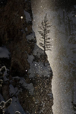 Wall Art - Photograph - Sun Beam At Sun Rise Over The Grand Canyon Of The #1 by Nick Garbutt / Naturepl.com
