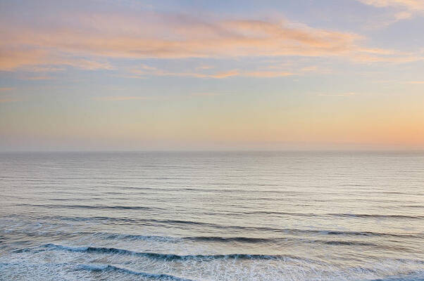 Wall Art - Photograph - Sunset On The Redwoods Coast #1 by Alan Majchrowicz