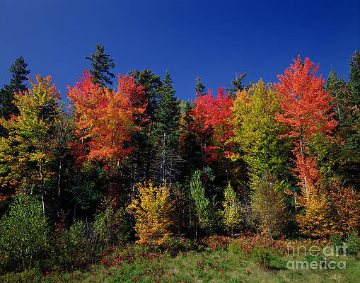 Wall Art - Photograph - View In The Appalachian Mountains by