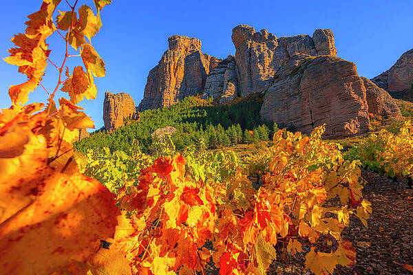 Wall Art - Digital Art - Vineyards On Cliffside #1 by Olimpio Fantuz