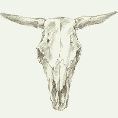 Wall Art - Painting - Western Skull Mount II by Ethan Harper