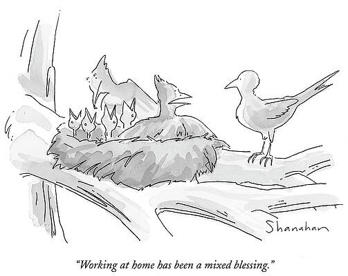 Wall Art - Drawing - Working At Home Has Been A Mixed Blessing #1 by Danny Shanahan