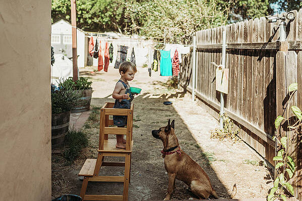 Wall Art - Photograph - Young Toddler Boy And Puppy Playing Outside In Yard Together by Cavan Images