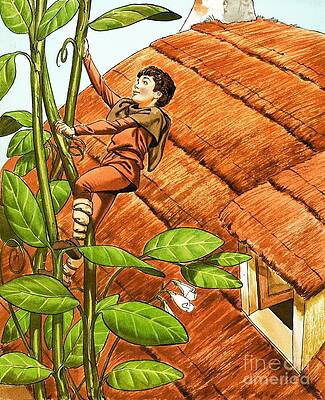 Jack And The Beanstalk by Nadir Quinto Jack And The Beanstalk by Nadir Quinto