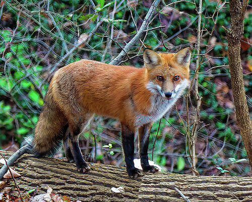 New Upload by Colin McNaught