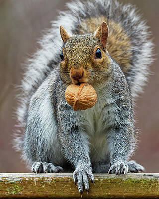 New Upload by Colin McNaught