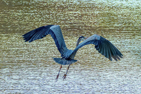 New Upload by Colin McNaught