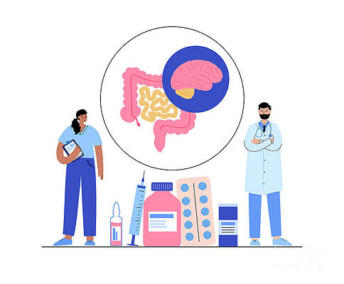 Wall Art - Photograph - Connection Between Gut And Brain #19 by Science Photo Library