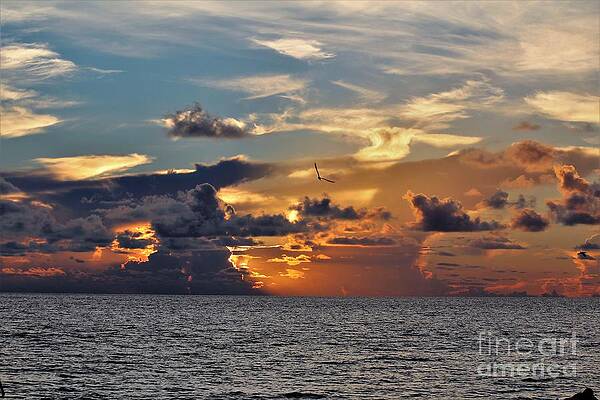 Wall Art - Photograph - Naples Beach #19 by Donn Ingemie