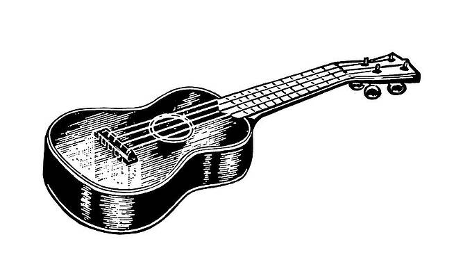 Learn How to Draw an Acoustic Guitar (Musical Instruments) Step by Step :  Drawing Tutorials