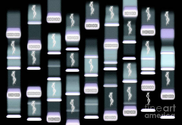 Wall Art - Photograph - Bioinformatics #2 by Science Photo Library