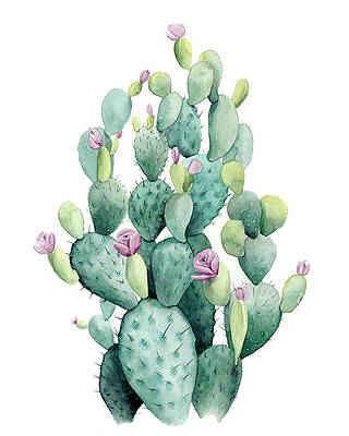 Cactus Art (Page #6 of 35) | Fine Art America