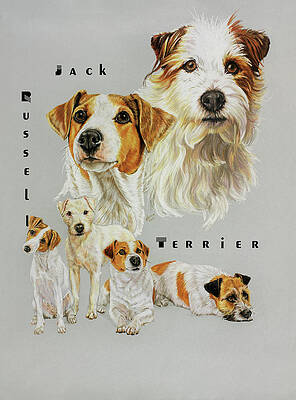 jack russell paintings for sale