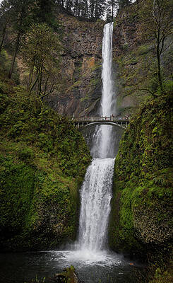 Multnomah Falls by David Barile Multnomah Falls by David Barile