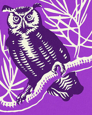 Wall Art - Drawing - Owl Perched on a Branch by CSA Images