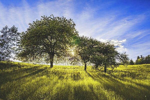 Wall Art - Photograph - Sunset #6 by Marc Braner