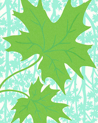 Maple Leaf Drawing by CSA Images - Fine Art America