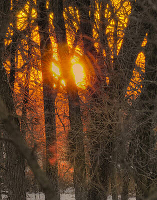 Winter Sunset by Don Wolf Winter Sunset by Don Wolf