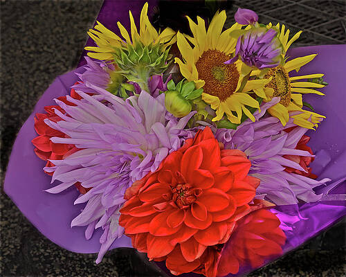 2019 Monona Farmers' Market September Flowers 1 by Janis Nussbaum Senungetuk 2019 Monona Farmers' Market September Flowers 1 by Janis Nussbaum Senungetuk