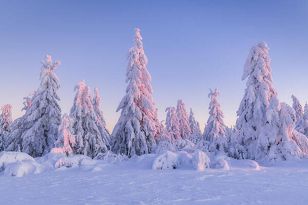 Black And White Wall Art featuring the digital art Germany, Baden-wrttemberg, Black #28 by Cornelia Dorr