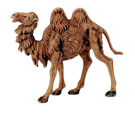 Wall Art - Drawing - Camel #3 by CSA Images