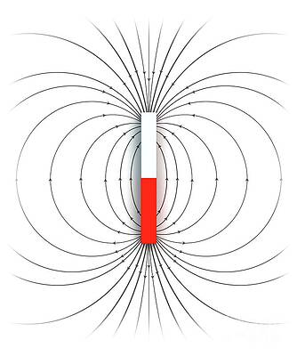 Wall Art - Photograph - Magnetic Field Of A Bar Magnet #3 by Science Photo Library