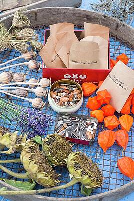 Wall Art - Photograph - Potting Bench Showing Seeds Stored In Various Containers #3 by Gary Smith / Naturepl.com