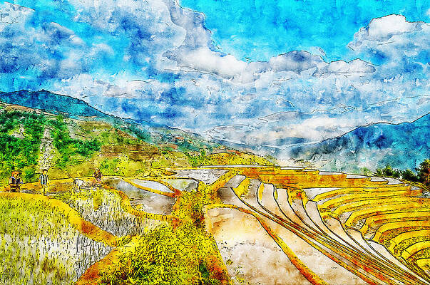 Rice Farm watercolor drawing by Hasan Ahmed Rice Farm watercolor drawing by Hasan Ahmed