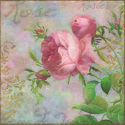 Roses Wall Art (Page #14 of 35) | Fine Art America