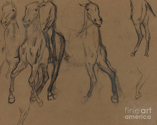 Horse Portrait in Charcoal  Horse art drawing Horse portrait Horses