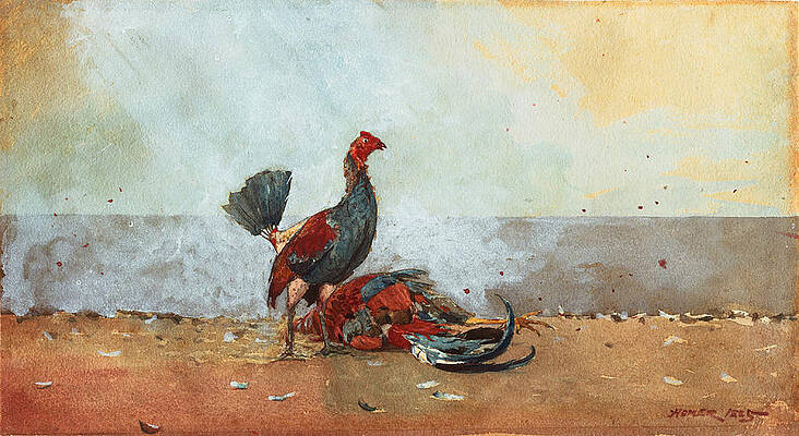 The Cock Fight Print by Winslow Homer