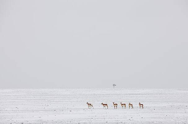 Wall Art - Photograph - Usa, Colorado, Eastern Plains #3 by Ed Darack