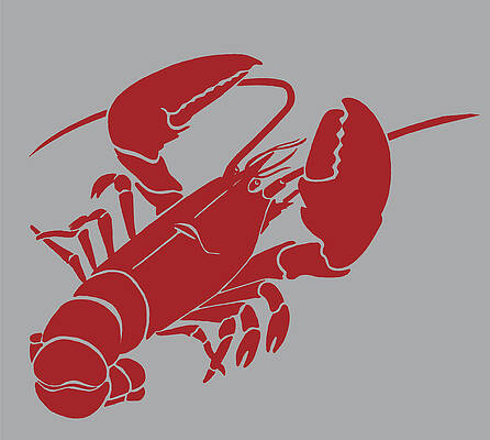 Red Lobster Drawings - Fine Art America