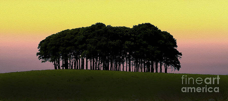 Cookworthy Knapp by Paul Martin Cookworthy Knapp by Paul Martin