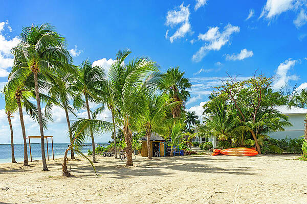 Wall Art - Digital Art - Kaibo Beach, Cayman Islands #4 by Angela Pagano