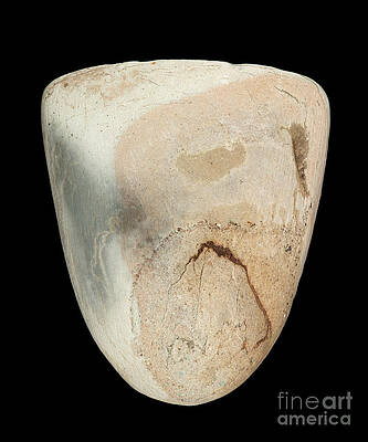 Wall Art - Photograph - Neolithic Tools #4 by Science Photo Library