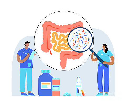 Wall Art - Photograph - Connection Between Gut And Brain #5 by Science Photo Library